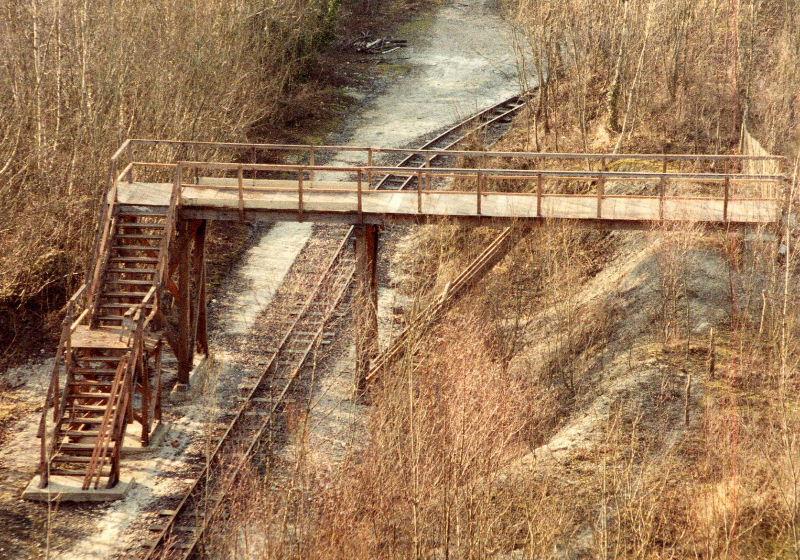 ranger-bridge.jpg - View of the completed Ranger Bridge, so called because the building work was carried out by local Ranger Guides, led by Amberley volunteer Daphne Beard.