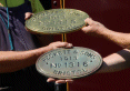 Peckett plates