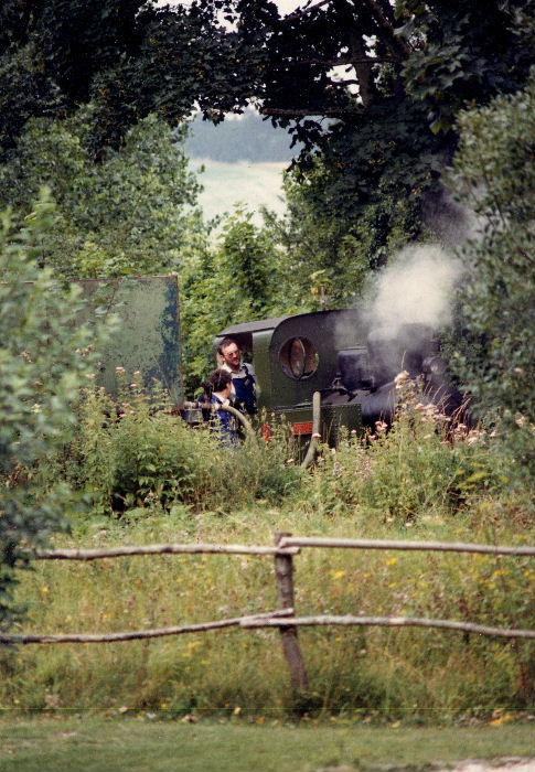 decauville-trees.jpg - There's a steam tain there somewhere. The Museum provides a number of natural habitats for wild flora and fauna.