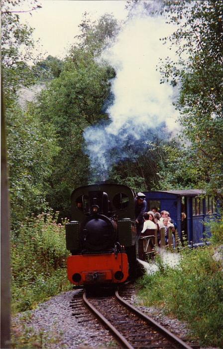 barbouilleur02.jpg - "Barbouilleur" steams round Vagrant's Bend and approaches the Ranger Bridge.