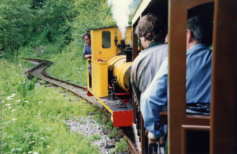 polar-bear-new-09.jpg - John Stanton keeps a weather eye on the train.