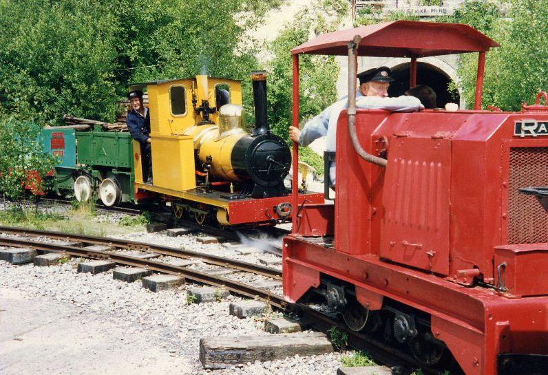 polar-bear-new-21.jpg - PB with the Ransomes & Rapier outside the tunnel.